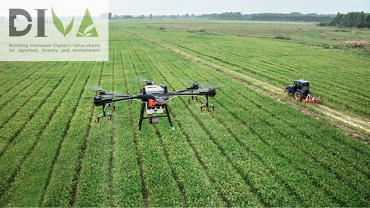 DIVA - DIGITECH VALUE CHAINS FOR AGROFOOD, FORESTRY AND ENVIRONMENT DIVA - Digitech Value chains for Agrofood, forestry and environment