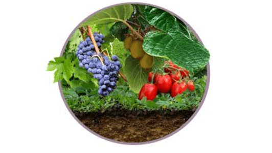 SOSFERA - SUPPORTING THE FERTILITY OF EMILIA-ROMAGNA SOILS SOSFERA - SUPPORTING THE FERTILITY OF EMILIA-ROMAGNA SOILS