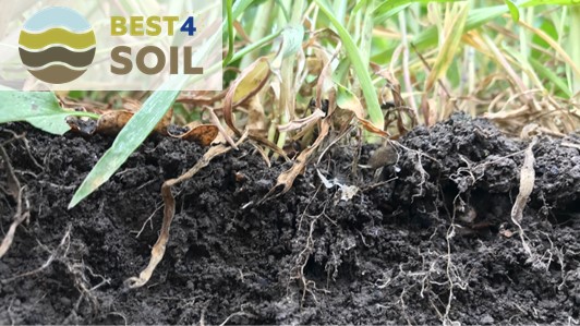 Webinar del progetto BEST4SOIL - Save the date