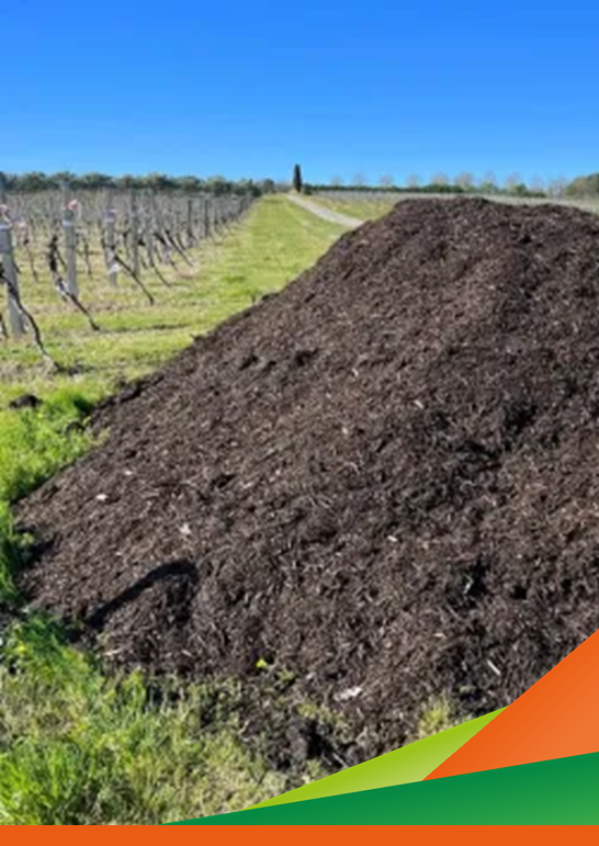 Effetti agronomici di lungo termine: compost e biochar nel vigneto del LTE di Tebano (RA) - Incontro tecnico progetto M.OR.VI.SA