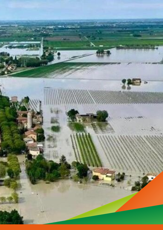 Emergenza terreni alluvionati - Colture arboree: Confronto in campo: monitorare lo stato di salute dei suoli e delle piante per condividere le migliori tecniche di gestione