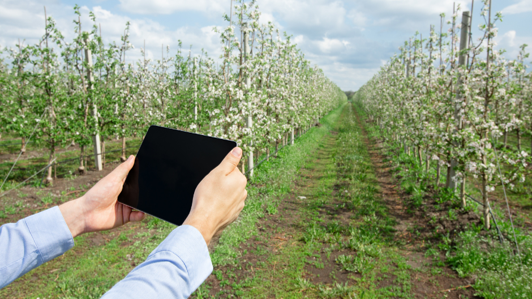 IRRI-MIA - SENSORISTICA IOT AVANZATA PER UN'IRRIGAZIONE 4.0 E UNA MISURA SMART DELLA SOSTENIBILITÀ AMBIENTALE IRRI-MIA - Sensoristica IoT avanzata per un'IRRIgazione 4.0 e una MIsurA smart della sostenibilità ambientale