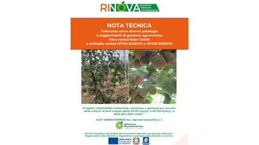 Sono online le note tecniche "Tolleranze verso diverse patologie e suggerimenti di gestione agronomica Pero varietà Eden Gold® e Actinidia varietà HFY01-SUNXY® e HFY03-SUNXY®"