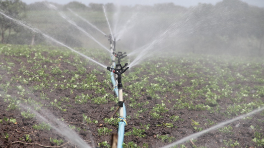 SOTTOPROGETTO 04 - GESTIONE IRRIGUA NELLE FILIERE ORTOFRUTTICOLE - GRUPPO VIVA OCM013 Sottoprogetto 04 - Gestione irrigua nelle filiere ortofrutticole - GRUPPO VIVA OCM013
