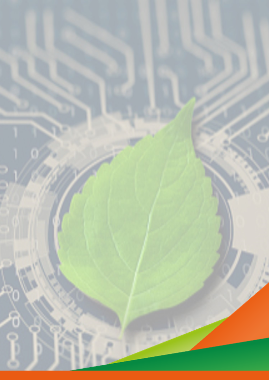 Nuove strategie per il contrasto alla cimice asiatica: dagli insetti antagonisti ai big data - Macfrut 2022