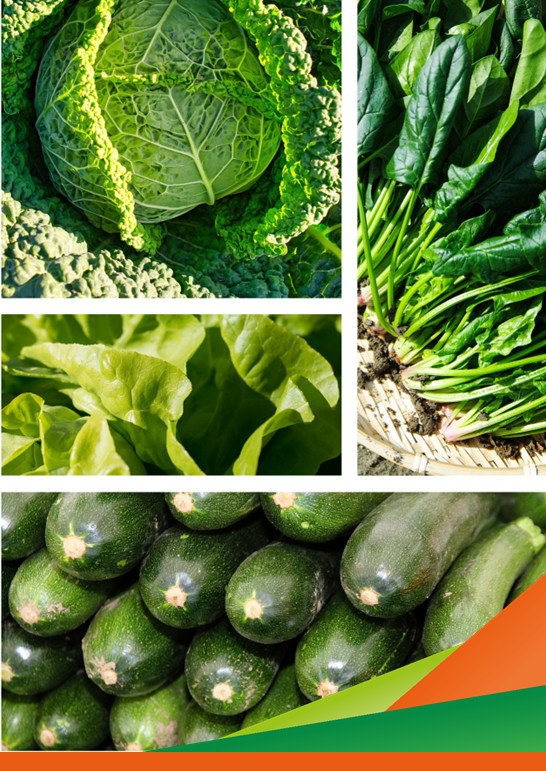 Webinar "Il ruolo del costo dell’innovazione per il trasferimento tecnologico delle imprese agricole"