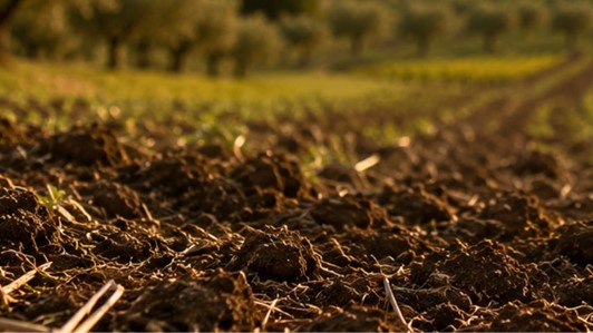 CARBON 4 SOIL QUALITY PLUS - GESTIONE SOSTENIBILE DEL SUOLO