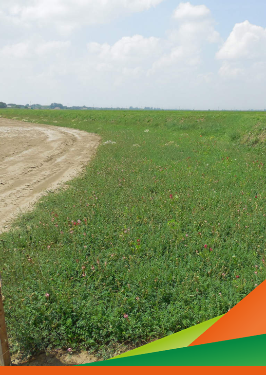 Sequestro del carbonio: indicatori di funzionalità del suolo e un metodo di valutazione della sua qualità. Tavola rotonda: buone pratiche di Carbon Farming e un possibile modello di business