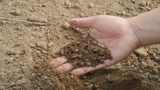 CARBON 4 SOIL QUALITY - GESTIONE SOSTENIBILE DEL SUOLO CARBON 4 SOIL QUALITY - gestione sostenibile del suolo