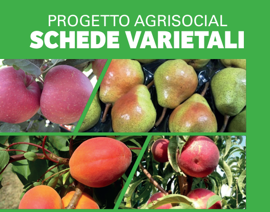 Sono online le nuove schede varietali