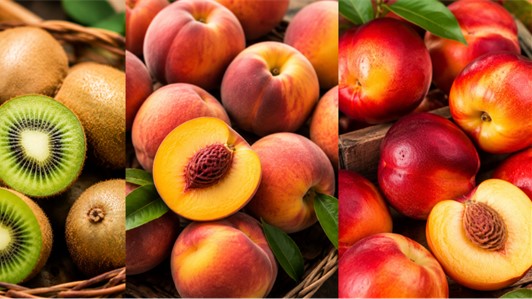 QUALITIAMO – FILIERA DELLA FRUTTA ITALIANA 4.0