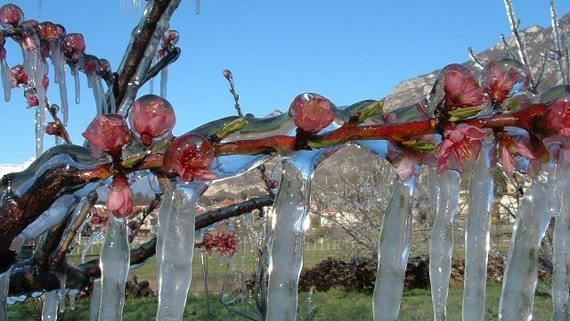 DATI.METEO4.0 - assistenza tecnica gelate