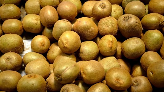 Agrintesa tra innovazione, qualità  e ambiente per lo sviluppo di una produzione ortofrutticola di valore - INTEGRA.AGRI