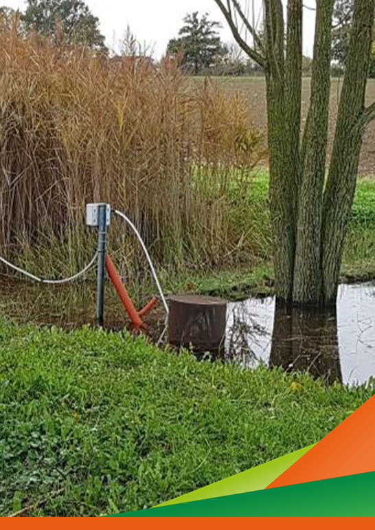Fitodepurazione delle acque di scolo agricole