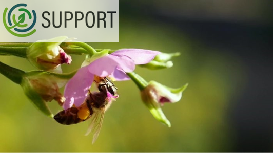 SUPPORT - STRUMENTI PER LA DIFESA INTEGRATA SUPPORT - strumenti per la difesa integrata