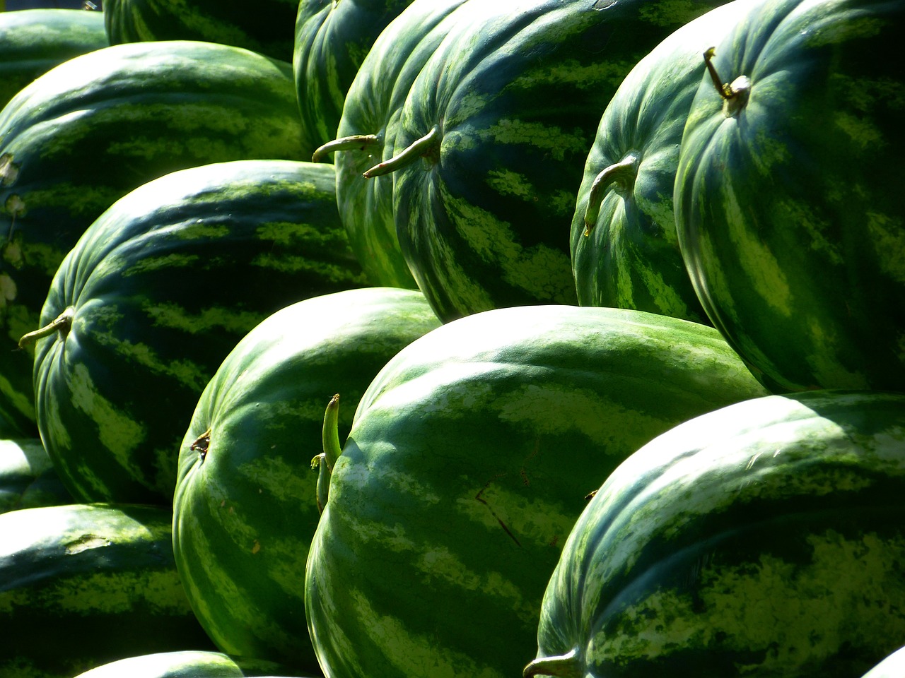 SOTTOPROGETTO 01: MODELLI GESTIONALI SU ANGURIE MELONI CIME DI RAPA - RICERCA VIVA OCM013 Sottoprogetto 01: Modelli gestionali su angurie meloni cime di rapa - RICERCA VIVA OCM013