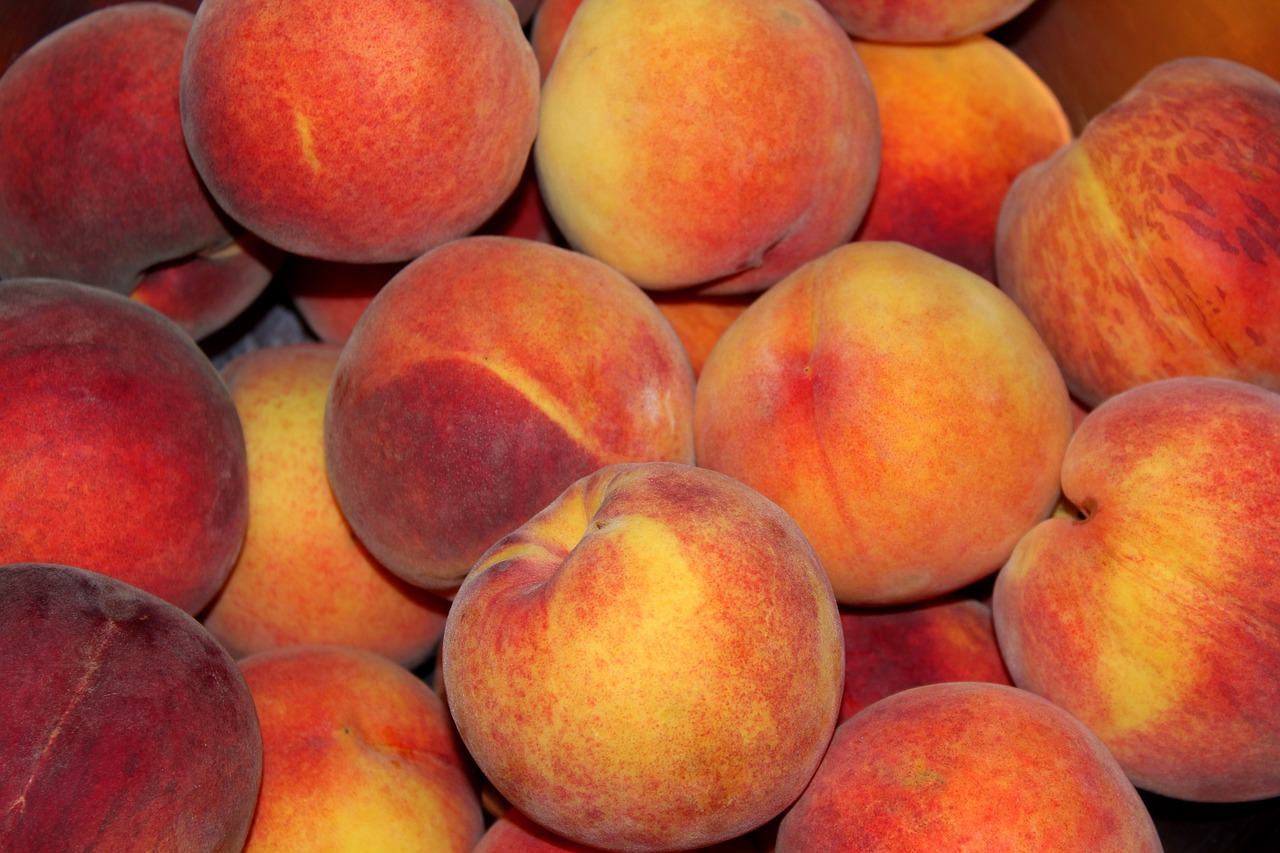 POSTRACCOLTA FRUTTA, INNOVAZIONI BIO-TECNOLOGICHE - POSTRACCOLTA 2025-2027 OCM021 Postraccolta frutta, innovazioni bio-tecnologiche - POSTRACCOLTA 2025-2027 OCM021