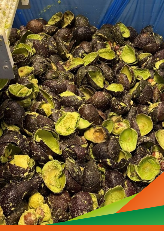 FRUREFINERY: progressi, risultati intermedi e sfide future – incontro tecnico e visita guidata del progetto FRUREFINERY