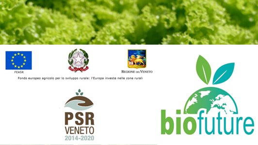 BIOFUTURE - BIODIVERSITÀ DELL'ORTOFRUTTA E DEGLI ECOSISTEMI BIOFUTURE - Biodiversità dell'ortofrutta e degli ecosistemi