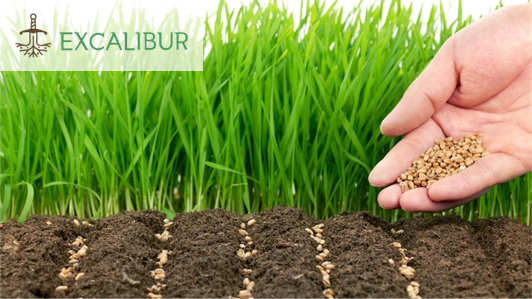 EXCALIBUR - BIODIVERSITÀ DEL SUOLO PER L'ORTICOLTURA EXCALIBUR - biodiversità del suolo per l'orticoltura