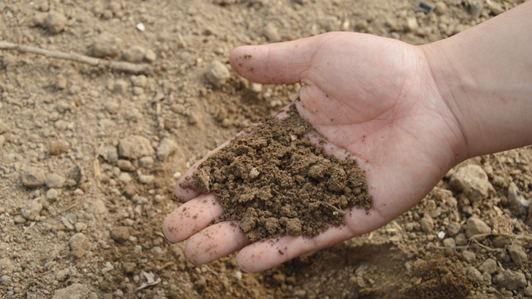 SOTTOPROGETTO 03 - PRODUZIONE E IMPIEGO DI COMPOST DA RESIDUI AGRICOLI - GRUPPO VIVA OCM013 Sottoprogetto 03 - Produzione e impiego di compost da residui agricoli - GRUPPO VIVA OCM013