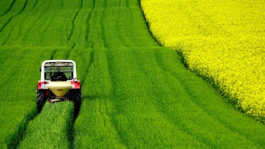 REMUNERA - MONITORAGGIO ECONOMICO DEI PROCESSI PRODUTTIVI REMUNERA - monitoraggio economico dei processi produttivi