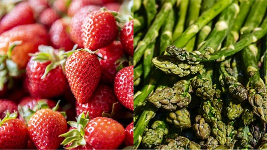 NUOVE VARIETÀ DI FRAGOLA E DI IBRIDI DI ASPARAGO - FRAGOLA E ASPARAGO OCM007 Nuove varietà di fragola e di ibridi di asparago - fragola e asparago OCM007