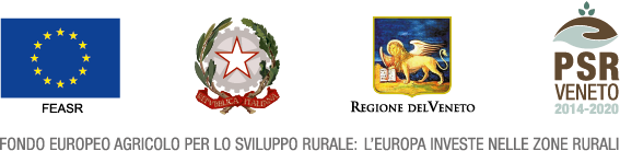 psr veneto