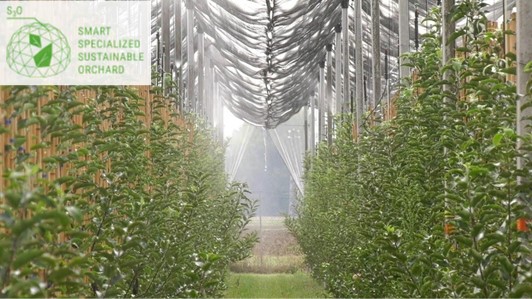 S3O - SMART SPECIALIZED SUSTAINABLE ORCHARD S3O - Smart Specialized Sustainable Orchard