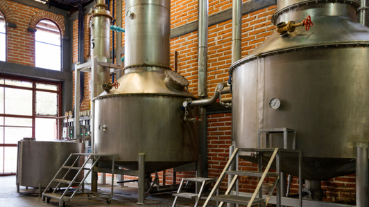 FRUREFINERY - PRODUZIONE DI INGREDIENTI DA SOTTO-PRODOTTI FRUTTICOLI FRUREFINERY - Produzione di ingredienti da sotto-prodotti frutticoli