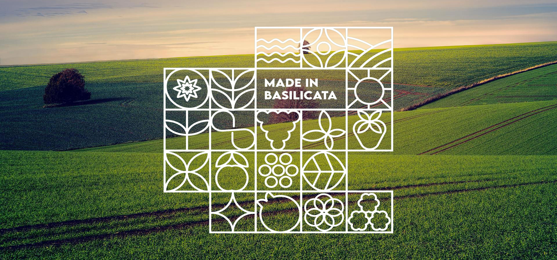 ORTOFRUTTA MADE IN BASILICATA