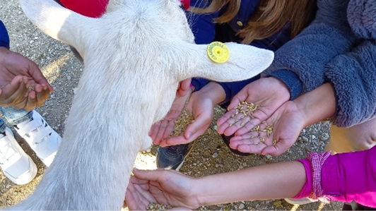 ARCHIVIO PROGETTI DI EDUCAZIONE AGROAMBIENTALE E COMUNICAZIONE EDUCATIVA ARCHIVIO progetti di educazione agroambientale e comunicazione educativa