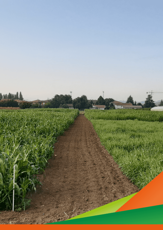 Incontro tecnico e visita guidata del Progetto ORTO.BIO.WEED